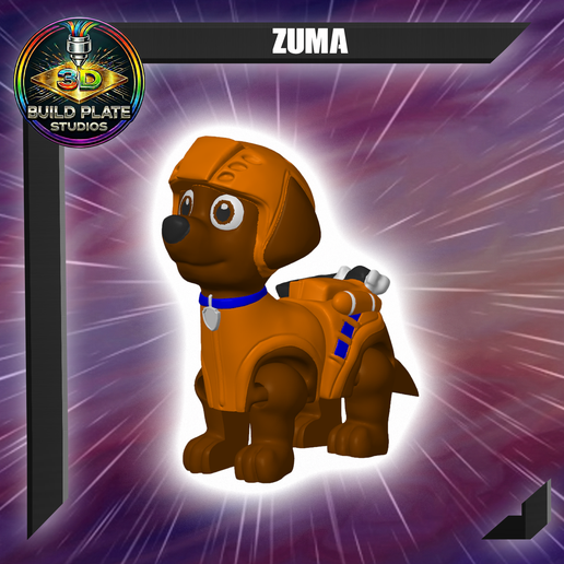 Paw Zuma Multicolor Flexi Print-In-Place