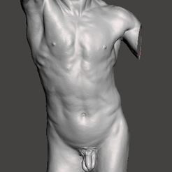 frente.png Torso Rodin