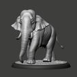 01.jpg Elephant Asian