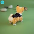 Image_07.jpg Flexi Corgi Puppy