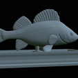 Perch-statue-25.png fish perch / Perca fluviatilis statue detailed texture for 3d printing