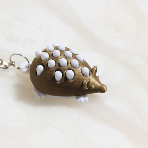 IMG_8167.jpg HERISSON