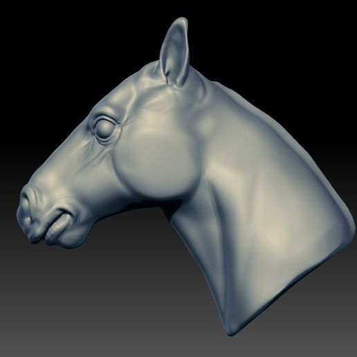 Horse-head-left.jpg horse's head