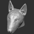 14.jpg Bull Terrier dog for 3D printing