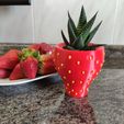 StrawberryWithStrawberry.jpg Fichier STL Pot pour mini cactus à la fraise・Plan pour impression 3D à télécharger