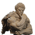 1.526.png Zodd Bust 3D Print