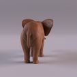 Elephant_0005.jpg Elephant