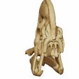 03.jpg Corythosaurus casuarius 3D skull