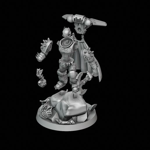 IMG_1310.jpeg Bat man full armour