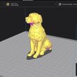Labrador4.jpg Labrador Realistic