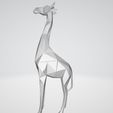 2.jpg Giraffe