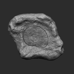 00main.png STL-Datei Ammonit Mineral Fossil - Realistische Printable und Schlüsselanhänger・Design für 3D-Drucker zum herunterladen