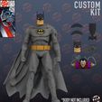 IMG_4065.jpeg Batman animated series custom kit