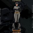 evellen0000.00_00_00_00.Still001.jpg Catwoman Grey Bodysuit - Collectible Edition