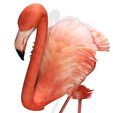 A14.jpg DOWNLOAD Flamingo 3D MODEL ANIMATED - BLENDER - 3DS MAX - CINEMA 4D - FBX - MAYA - UNITY - UNREAL - OBJ -  Flamingo DINOSAUR DINOSAUR Flamingo DINOSAUR BIRD