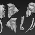 17.jpg Elephant African Head