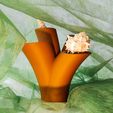 1647793104407.jpg Free STL file Aplysina archeri : Coral accessory・3D print design to download