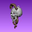 C_S_2.jpg Cobra Skull