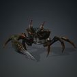 016.jpg Crab, - DOWNLOAD Crab 3d Model - PACK animated for Blender-Fbx-Unity-Maya-Unreal-C4d-3ds Max - 3D Printing Crab Crab