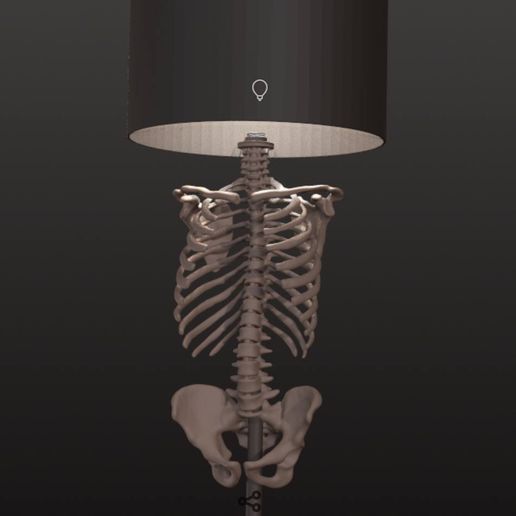 5994404242514889987.jpg HUMAN SKELETON LAMP