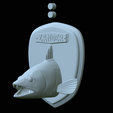 zander-head-trophy-29.png fish head trophy zander / pikeperch / Sander lucioperca open mouth statue detailed texture for 3d printing