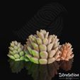 SD_Deco_PineConeBunchRender03.jpg Pacchetto decorazioni per le feste invernali