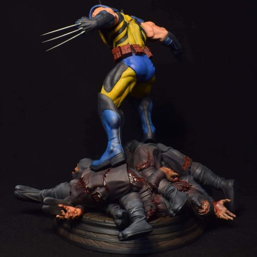 received_8252954851441482.jpeg WOLVERINE