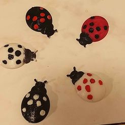 lady_bug_magnet.jpg Free STL file LADY BUG FRIDGE MAGNET・3D printing model to download
