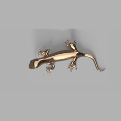 Miniature2.jpg Télécharger le fichier Salamandre, aimant, décoration • Objet pour impression 3D, Ficel