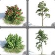 osIscNe4.jpeg Plants Collection 3D Model Flowers And Tree Home Decor 21-24