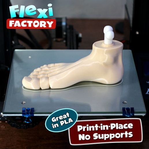 Foot_2.jpg STL-Datei Flexi Print-in-Place Fuß herunterladen • Vorlage für den 3D-Druck, FlexiFactory
