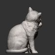 Cats-in-love11.jpg Cats in love 3D print model