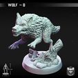 wolf-D-1.jpg Wolf - D