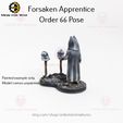 Ahsoka-Order-66-back-inked1.jpg Forsaken Apprentice Order 66 Pose - Legion Scale