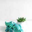 WhatsApp-Image-2023-10-31-at-8.29.53-AM.jpeg Little Flexi Crocodile
