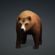 0.png Bear DOWNLOAD Bear 3d model - animated for blender-fbx-unity-maya-unreal-c4d-3ds max - 3D printing Bear Bear