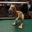 tauntaun_bride.jpg Kenner Star Wars Tauntaun Bridle/Bride Tauntaun