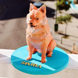SIMBA_PINTADO.png PET DOG