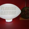 IMG_20231101_180358489.jpg Florida Gators College Football Light