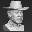 11.jpg Chuck Norris bust 3D printing ready stl obj formats