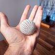 DSC09375.jpg Airless Ball | Gyroid Lattices Organic