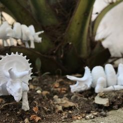 tric1.jpg STL file Flexy Triceratops Print In Place・3D printing idea to download