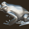 8.png Frog