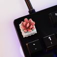 succulents_08.jpg Суккуленты Растения Клавиатуры - Механическая клавиатура