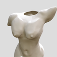1000065183.png Scultura di TORSO FEMMINILE E MASCHILE