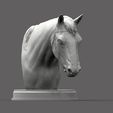 Horse's-head2.jpg Horses head 3D print model