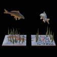 carp-scenery-45cm-22.png two carp scenery in underwather for 3d print detailed texture