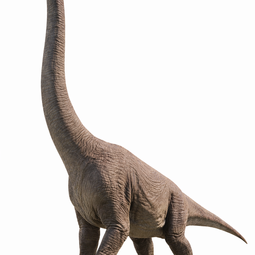 Diplodocus - 3D Model