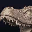 Game of Thrones - Drogon (3).png Bust: Dragon