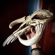 z4206671397301_4f37a256224ae95d480400435613013e.jpg 3D file Mythosaur Skull High Quality - Mandalorian Starwars Movie・Template to download and 3D print